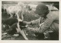 Image of Miriam MacMillan with Eskimo [Inuit] dogs